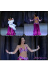 Professional bellydance costume (classic 10 a)