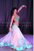 Professional bellydance costume (classic 15 a)