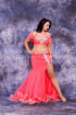 Professional bellydance costume (classic 100 a)