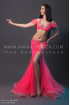 Professional bellydance costume (classic 100 a)