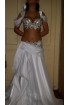 Professional bellydance costume (classic 44 a)