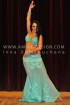 Professional bellydance costume (classic 48a)