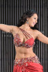 Professional bellydance costume (classic 49a)
