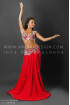 Professional bellydance costume (classic 52a)