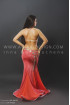 Professional bellydance costume (classic 58a)