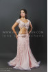 Professional bellydance costume (classic 60a)