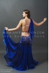Professional bellydance costume (classic 63a)