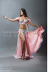 Professional bellydance costume (classic 65a)
