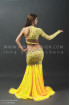 Professional bellydance costume (classic 67a)