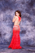 Professional bellydance costume (classic 72a)
