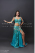 Professional bellydance costume (classic 76a)