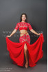 Professional bellydance costume (classic 78a)