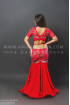 Professional bellydance costume (classic 78a)