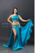 Professional bellydance costume (classic 81a)