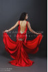 Professional bellydance costume (classic 85a)