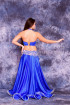 Professional bellydance costume (classic 99a)