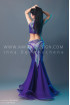 Professional bellydance costume (classic 104a)