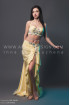 Professional bellydance costume (classic 109a)