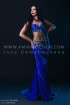 Professional bellydance costume (classic 120a)