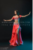 Professional bellydance costume (classic 131a)