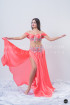Professional bellydance costume (classic 139a)
