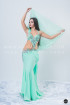 Professional bellydance costume (classic 141a)