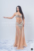 Professional bellydance costume (classic 142a)