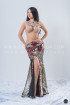 Professional bellydance costume (classic 147a)