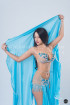 Professional bellydance costume (classic 148a)