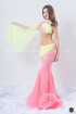 Professional bellydance costume (classic 151a)