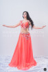 Professional bellydance costume (classic 152a)