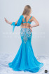 Professional bellydance costume (classic 155a)