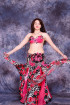 Professional bellydance costume (classic 32 a-used)