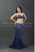 Professional bellydance costume (classic 62a)