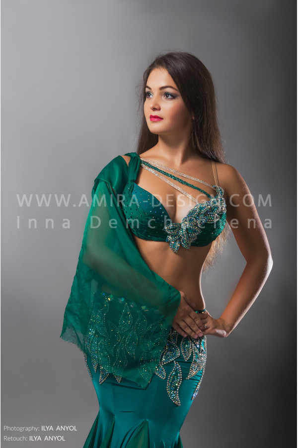 Professional bellydance costume (classic 73a)