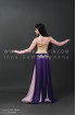 Professional bellydance costume (classic 93a)