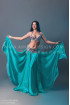 Professional bellydance costume (classic 105a)