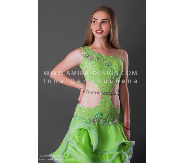 Professional bellydance costume (classic 113a-used)