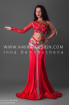 Professional bellydance costume (classic 116a)
