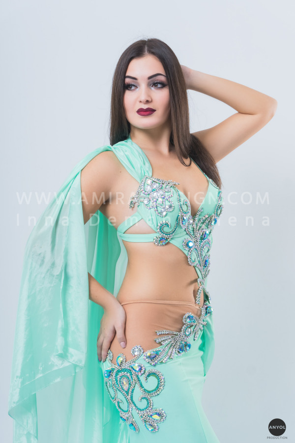 Professional bellydance costume (classic 141a)