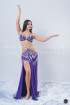 Professional bellydance costume (classic 144a)