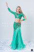 Professional bellydance costume (classic 153a)